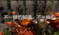 不一樣的解讀，不一樣的過渡金屬基電催化劑 – 材料牛