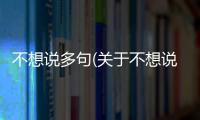 不想說多句(關于不想說多句簡述)