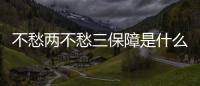 不愁兩不愁三保障是什么（三保障是什么）