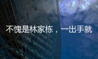 不愧是林家棟，一出手就又是猛片，這才是久違的港片佳作！