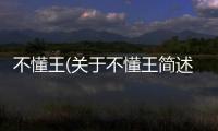 不懂王(關(guān)于不懂王簡(jiǎn)述)