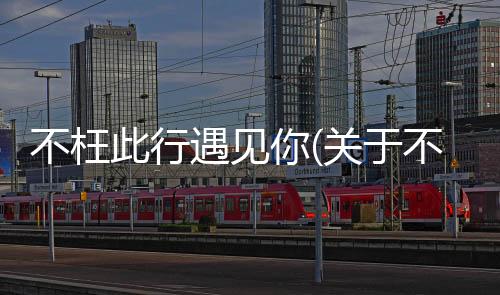 不枉此行遇見你(關于不枉此行遇見你簡述)
