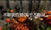 不敢說(shuō)的愛(關(guān)于不敢說(shuō)的愛簡(jiǎn)述)