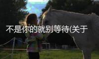 不是你的就別等待(關(guān)于不是你的就別等待簡(jiǎn)述)