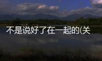 不是說好了在一起的(關(guān)于不是說好了在一起的簡述)
