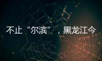 不止“爾濱”，黑龍江今冬花式“寵且”玩法上新