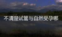 不清楚試管與自然受孕哪個成功率高？看完這篇就知道了