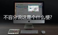 不容分說這是個什么梗?