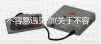 不容易遇見你(關于不容易遇見你簡述)