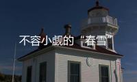 不容小覷的“春雪”