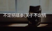 不定柄錨參(關于不定柄錨參簡述)
