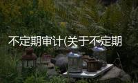不定期審計(關于不定期審計簡述)