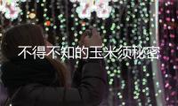 不得不知的玉米須秘密