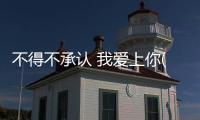 不得不承認 我愛上你(關于不得不承認 我愛上你簡述)