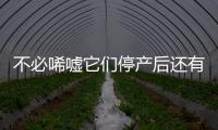 不必唏噓它們停產(chǎn)后還有這些車可以選
