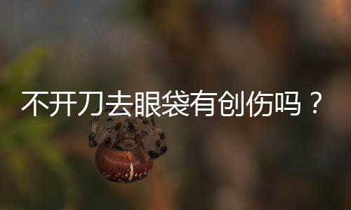 不開刀去眼袋有創傷嗎？不開刀去眼袋是抽脂技術嗎？