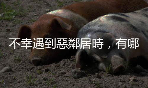 不幸遇到惡鄰居時，有哪些法規可以保障自己的權益？