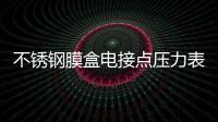 不銹鋼膜盒電接點(diǎn)壓力表(關(guān)于不銹鋼膜盒電接點(diǎn)壓力表簡述)