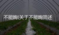 不能眴(關于不能眴簡述)