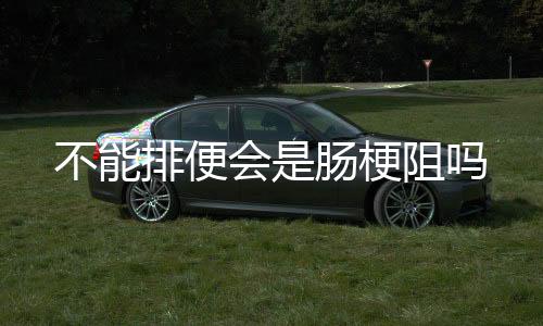 不能排便會是腸梗阻嗎