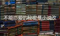 不能戀愛的秘密是小說改編的嗎