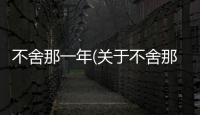 不舍那一年(關(guān)于不舍那一年簡(jiǎn)述)