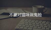 不要對(duì)貓咪做鬼臉
