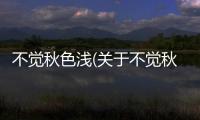 不覺秋色淺(關于不覺秋色淺簡述)