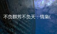 不負群芳不負天：情梟(關于不負群芳不負天：情梟簡述)