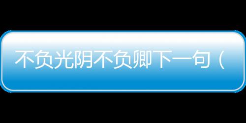 不負光陰不負卿下一句（不負光陰不負卿的意思）