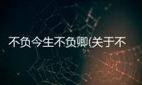 不負今生不負卿(關于不負今生不負卿簡述)