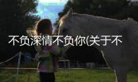 不負深情不負你(關于不負深情不負你簡述)