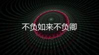 不負(fù)如來(lái)不負(fù)卿