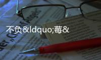 不負(fù)“莓”好時光 前埔采摘正當(dāng)時
