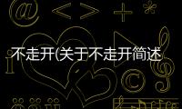 不走開(關(guān)于不走開簡(jiǎn)述)