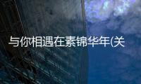 與你相遇在素錦華年(關于與你相遇在素錦華年簡述)