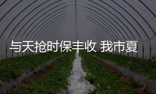 與天搶時保豐收 我市夏糧搶收已近八成_