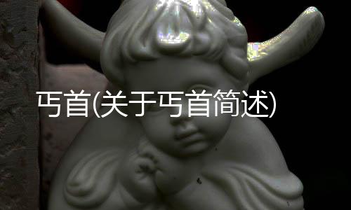 丐首(關于丐首簡述)