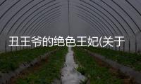 丑王爺的絕色王妃(關于丑王爺的絕色王妃簡述)