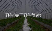 丑俗(關于丑俗簡述)