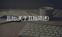丑拙(關(guān)于丑拙簡(jiǎn)述)