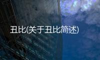 丑比(關于丑比簡述)
