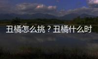 丑橘怎么挑？丑橘什么時候最好吃？