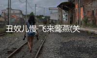 丑奴兒慢·飛來鶯燕(關于丑奴兒慢·飛來鶯燕簡述)