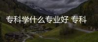 專科學(xué)什么專業(yè)好 專科學(xué)哪個(gè)專業(yè)好