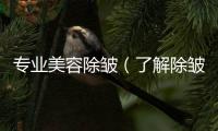 專業美容除皺（了解除皺的方法和效果）