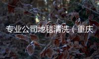 專業(yè)公司地毯清洗（重慶地毯清洗）