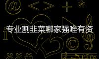 專業割韭菜哪家強唯有資本最在行