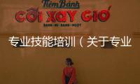 專業(yè)技能培訓(xùn)（關(guān)于專業(yè)技能培訓(xùn)的基本情況說(shuō)明介紹）