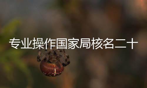 專業操作國家局核名二十年